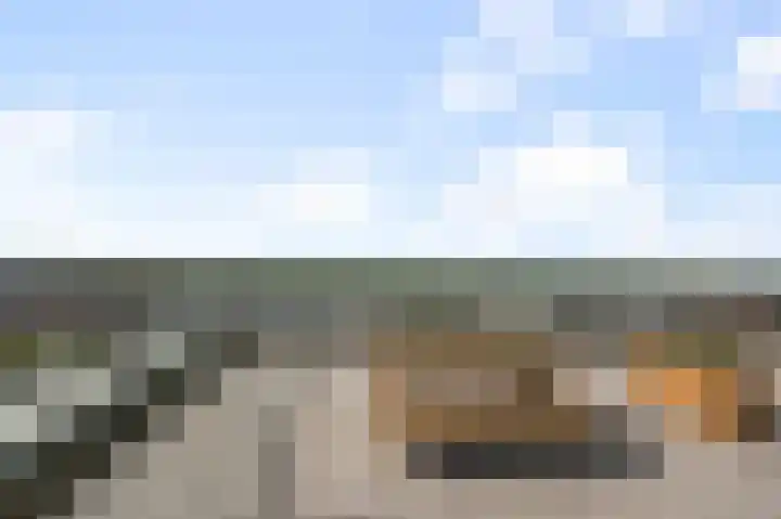 Jonkersfinne 7 Workum thumbnail 16