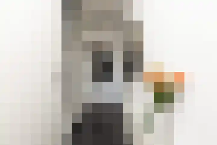 Jonkersfinne 7 Workum thumbnail 17