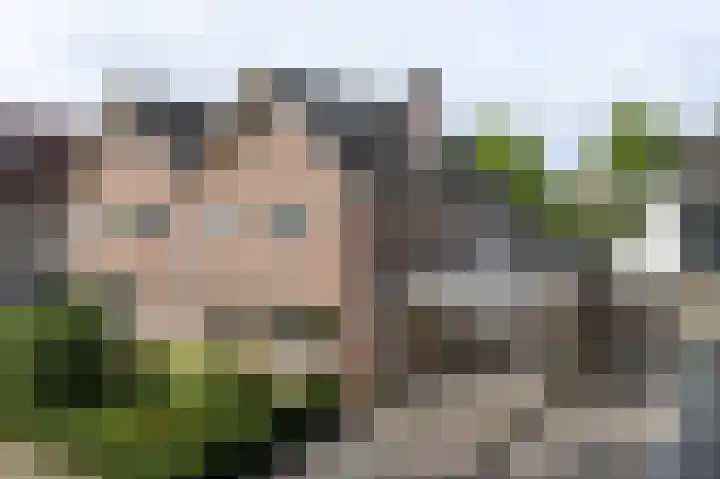 Jonkersfinne 7 Workum thumbnail 18