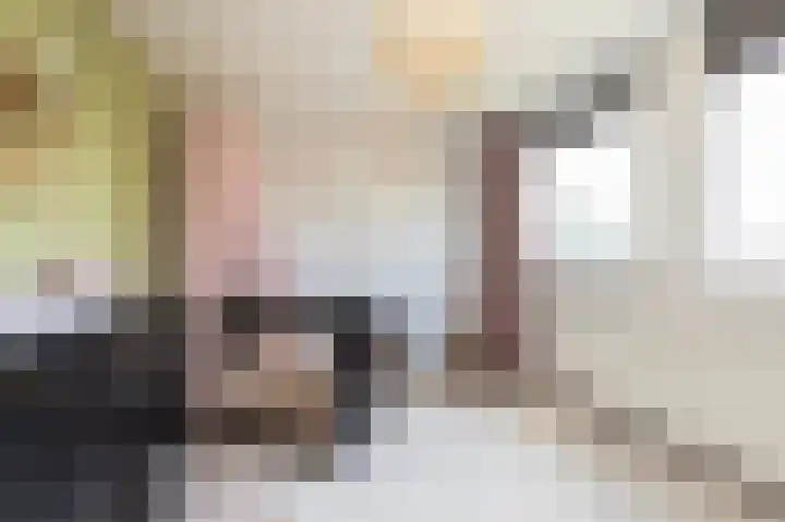 Jonkersfinne 7 Workum thumbnail 21