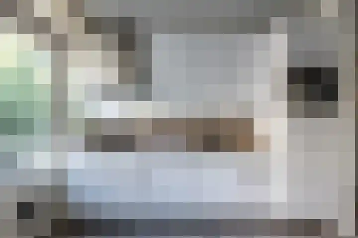 Jonkersfinne 7 Workum thumbnail 22