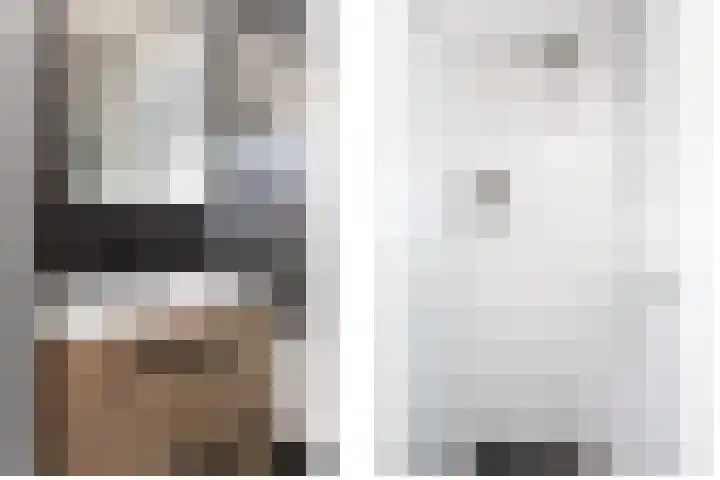 Jonkersfinne 7 Workum thumbnail 26