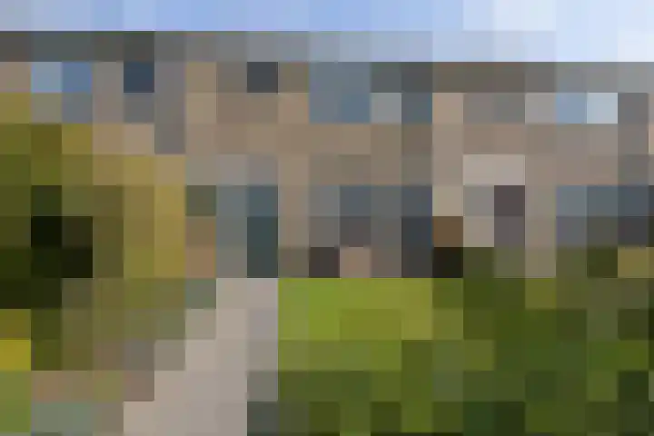 Jonkersfinne 7 Workum foto 3