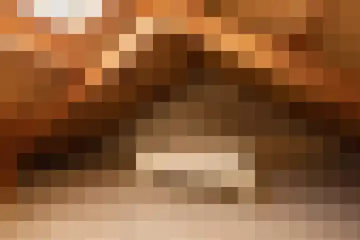 Jonkersfinne 7 Workum thumbnail 30