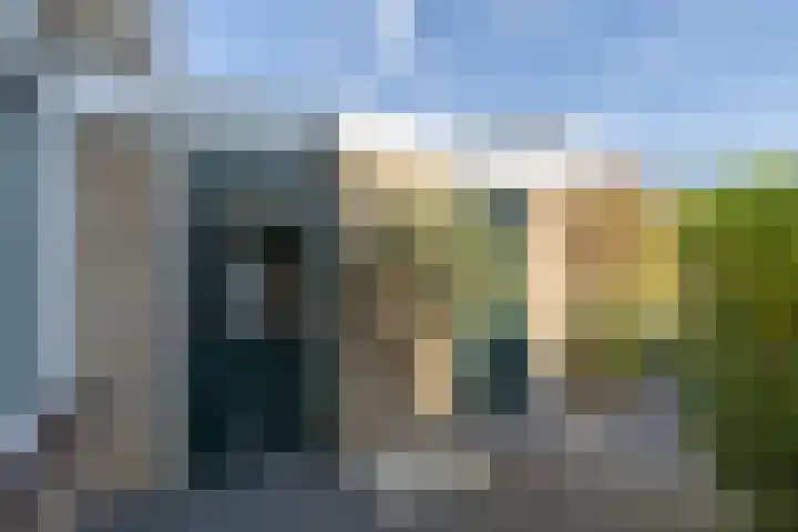 Jonkersfinne 7 Workum thumbnail 33