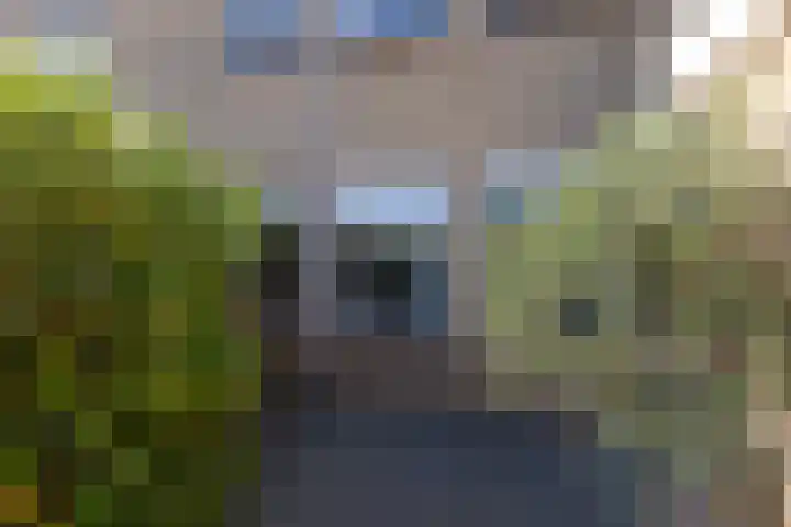 Jonkersfinne 7 Workum thumbnail 39