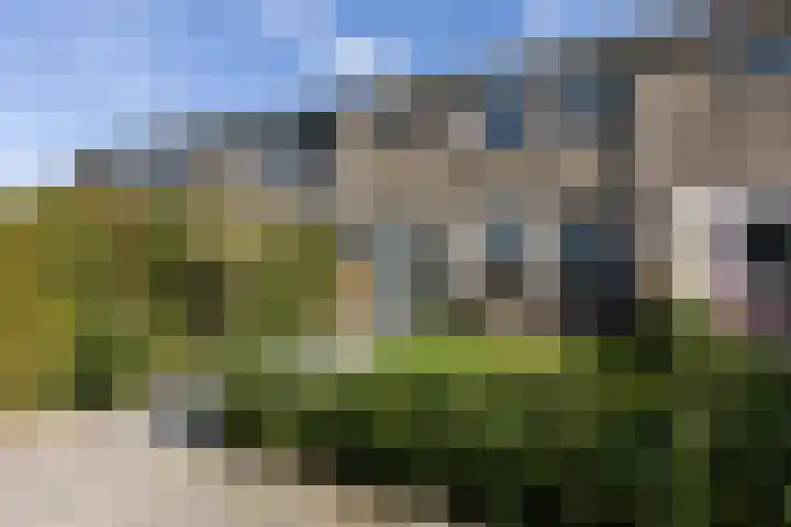 Jonkersfinne 7 Workum thumbnail 4