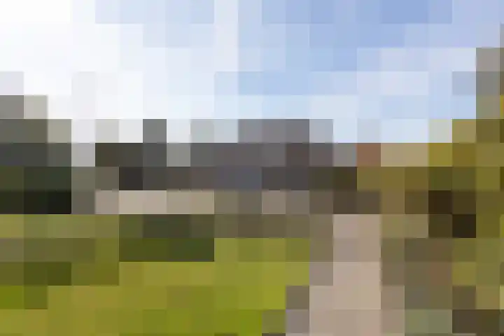 Jonkersfinne 7 Workum thumbnail 41