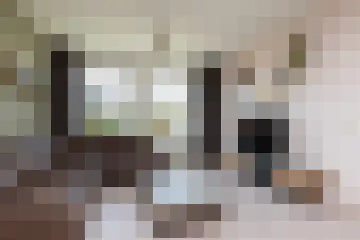 Jonkersfinne 7 Workum thumbnail 6