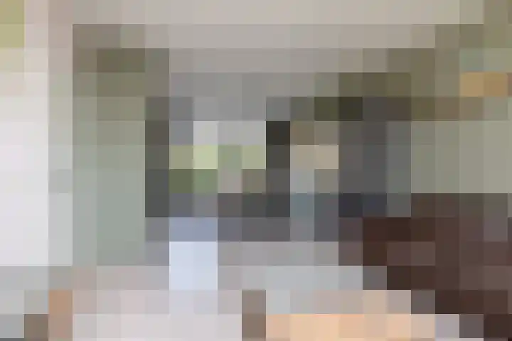 Jonkersfinne 7 Workum thumbnail 7