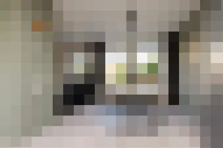 Jonkersfinne 7 Workum thumbnail 8