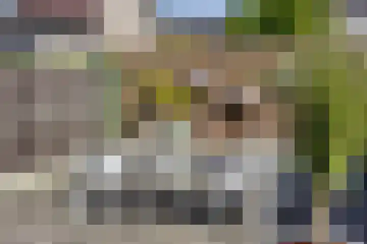 Jonkersgang 10 Abcoude thumbnail 31