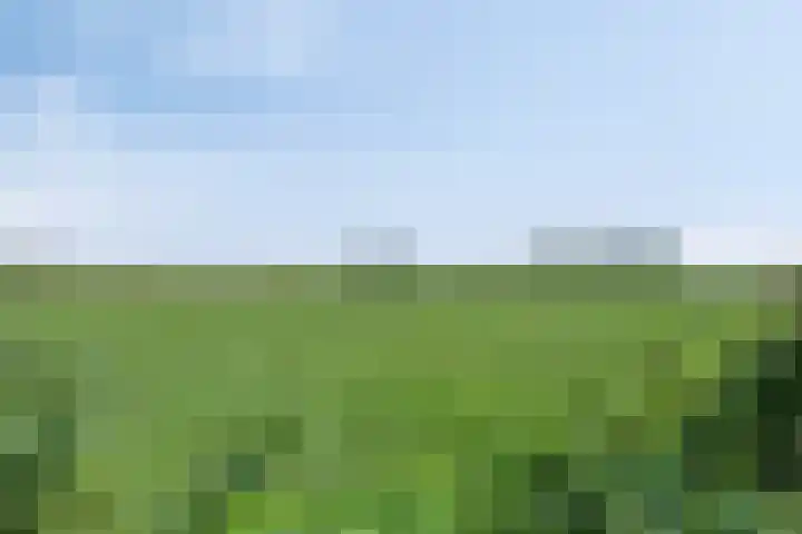 Jonkersgang 10 Abcoude thumbnail 38