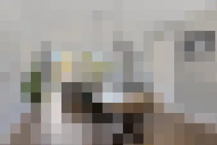 Jonkersgang 10 Abcoude thumbnail 6