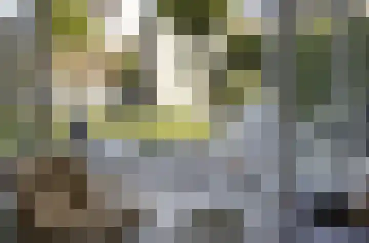 Jonkersgang 10 Abcoude thumbnail 9