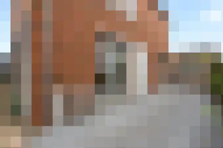 Jonkersgang 20 Abcoude thumbnail 40