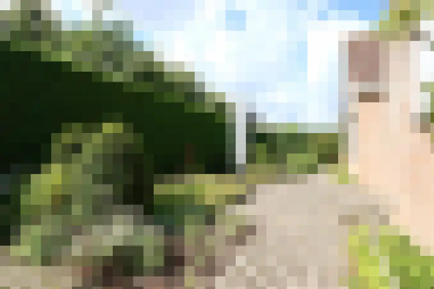 Jonkershof 14 Groesbeek thumbnail 8