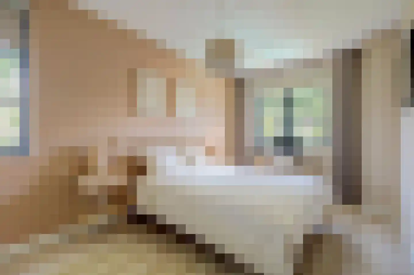 Jonkershof 18 Vriezenveen thumbnail 17