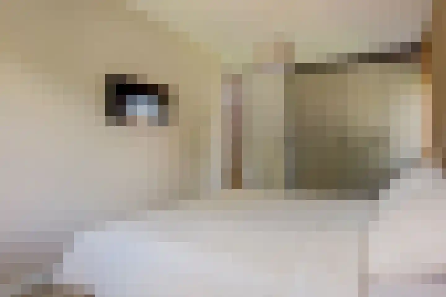 Jonkershof 18 Vriezenveen thumbnail 18