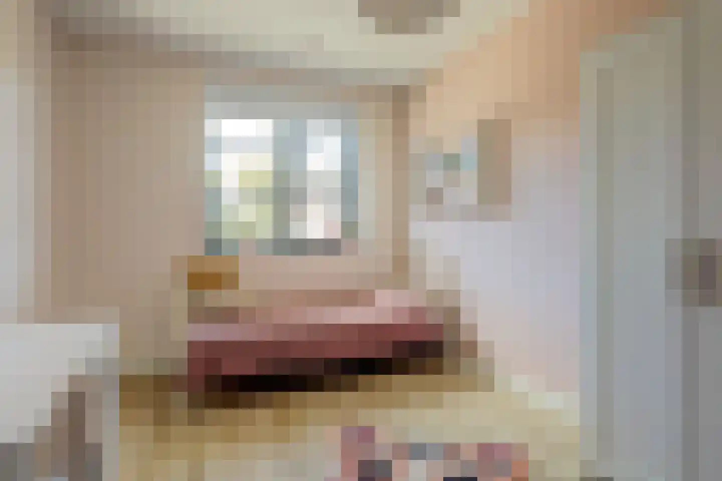 Jonkershof 18 Vriezenveen thumbnail 19