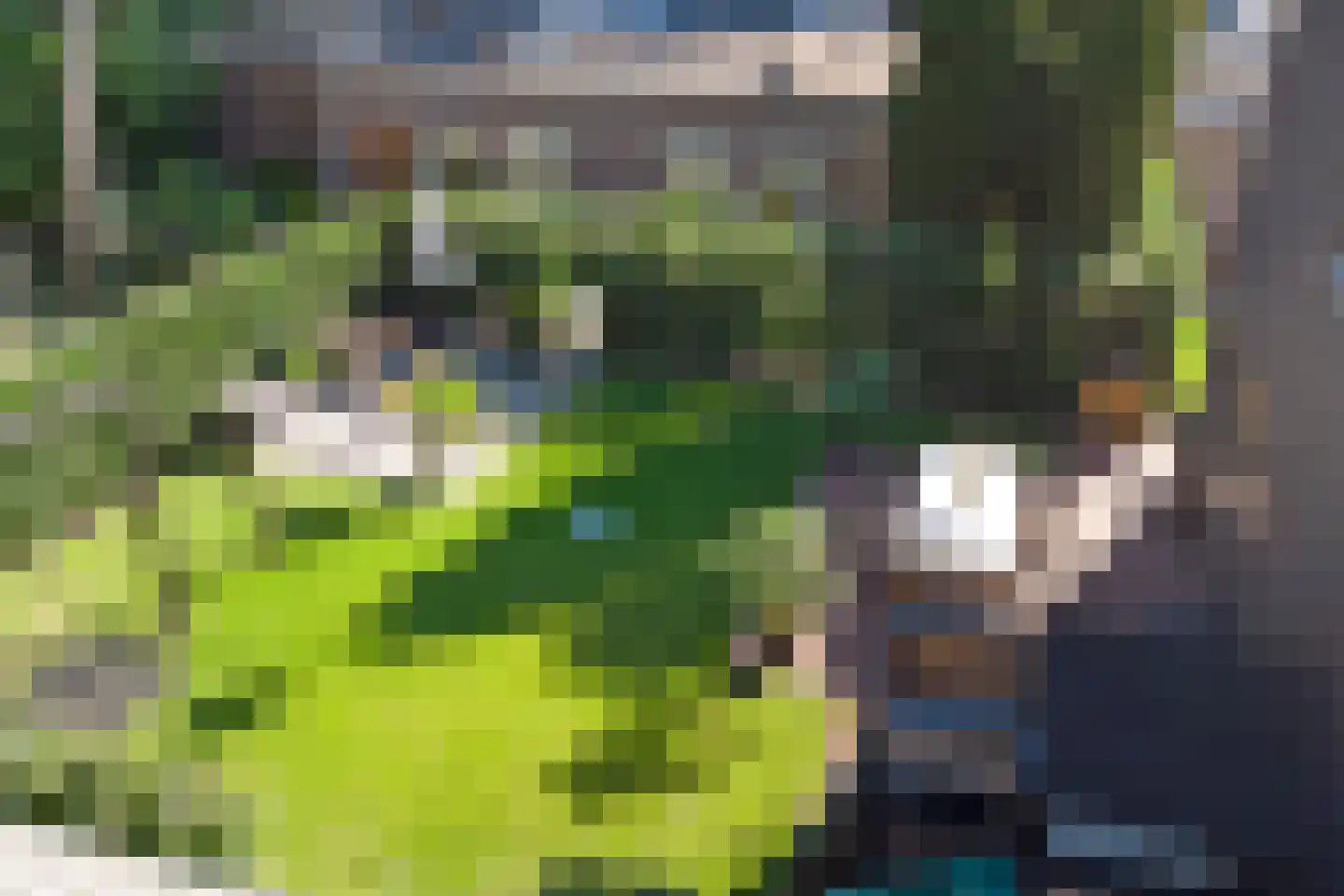 Jonkershof 18 Vriezenveen thumbnail 37