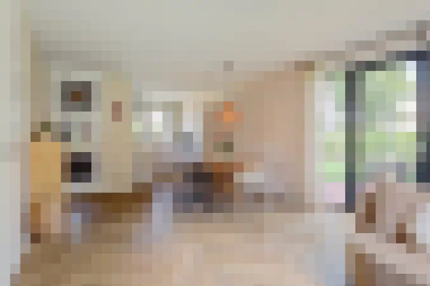 Jonkershof 18 Vriezenveen thumbnail 5