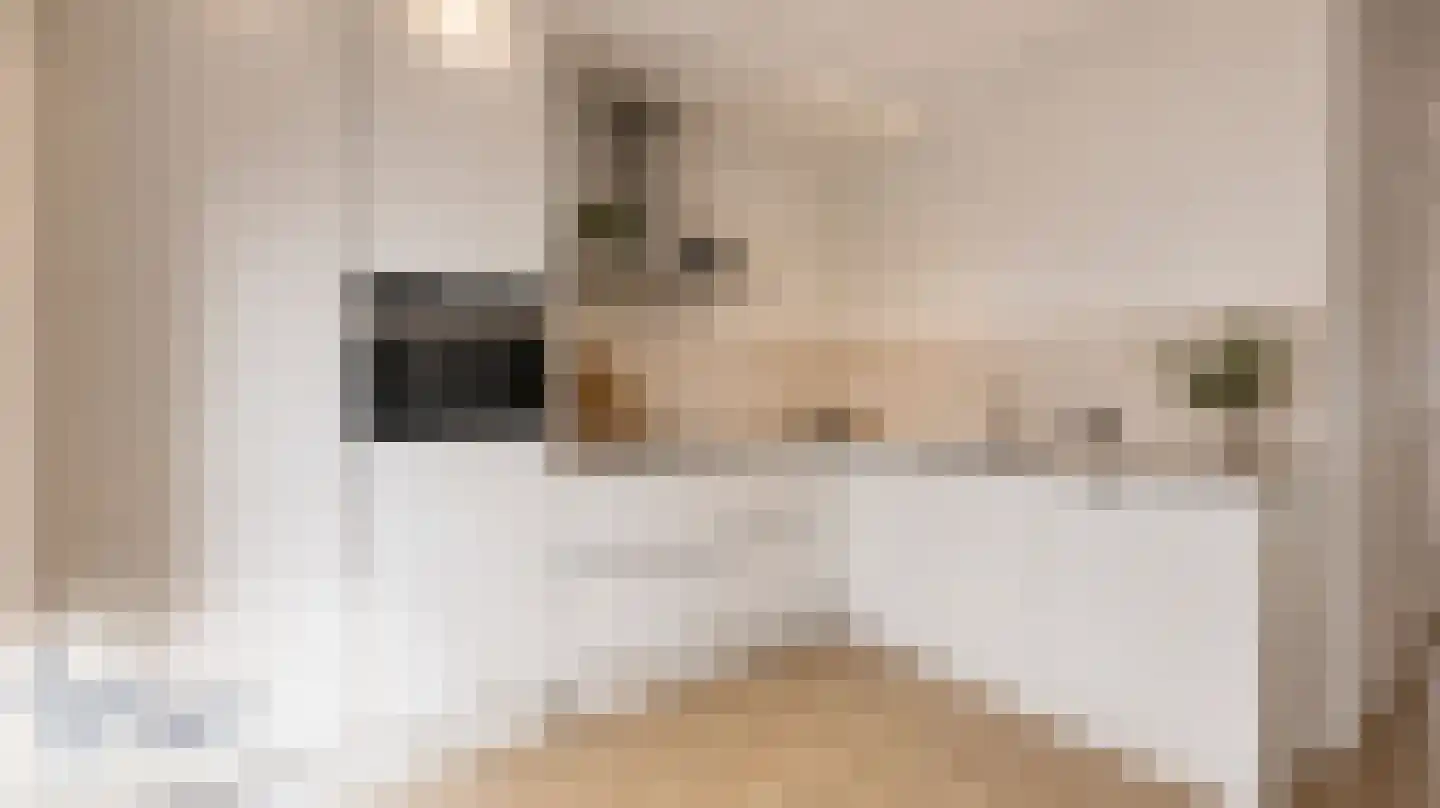 Jonkershof 2 Barneveld thumbnail 18