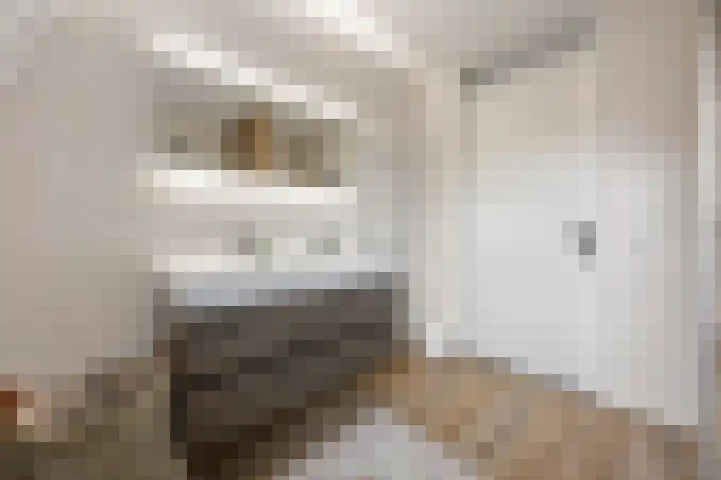 Jonkershof 2 Barneveld thumbnail 31