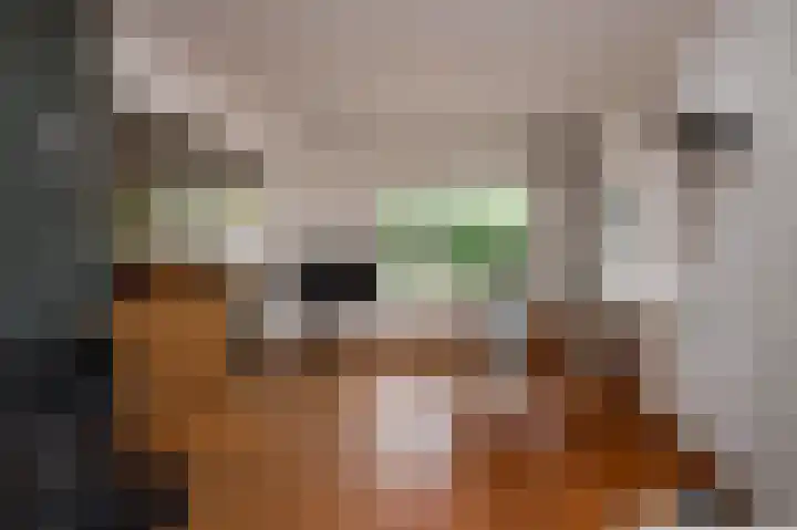 Jonkershof 3 Emmen thumbnail 10