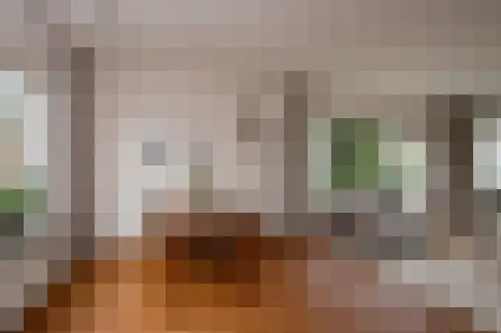 Jonkershof 3 Emmen thumbnail 12