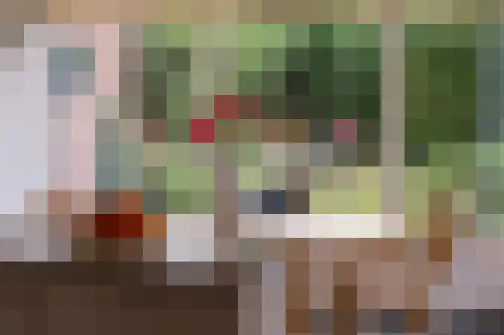 Jonkershof 3 Emmen thumbnail 18