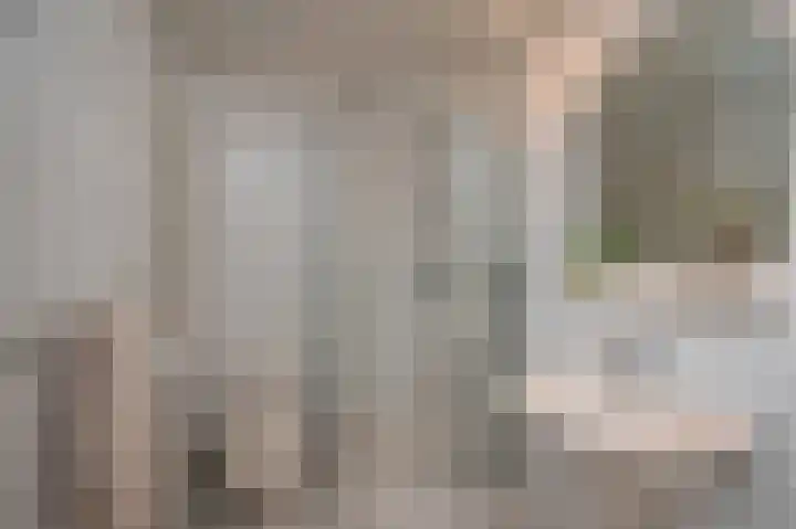 Jonkershof 3 Emmen thumbnail 30