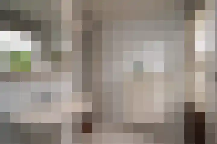 Jonkershof 3 Emmen thumbnail 31