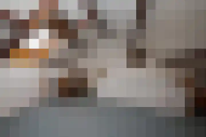 Jonkershof 3 Emmen thumbnail 34