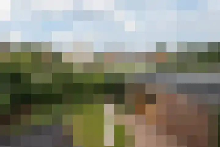 Jonkershof 3 Emmen thumbnail 40