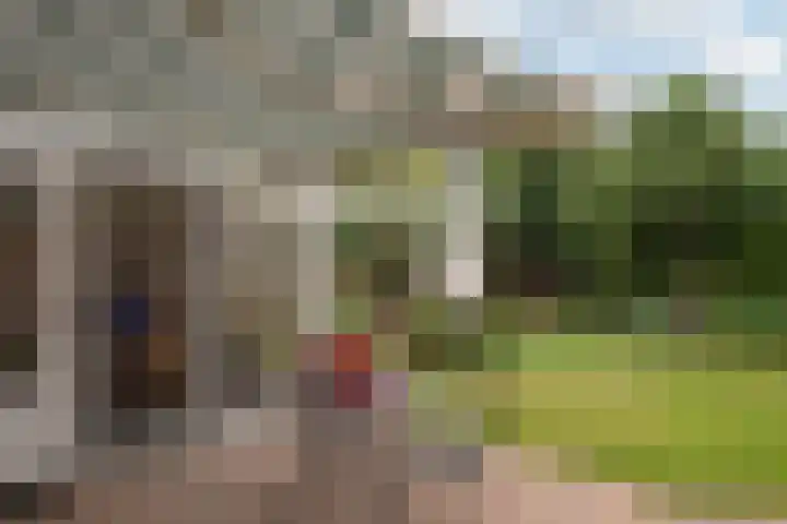 Jonkershof 3 Emmen thumbnail 43