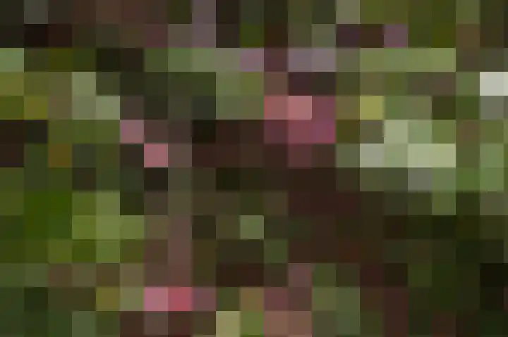 Jonkershof 3 Emmen thumbnail 44