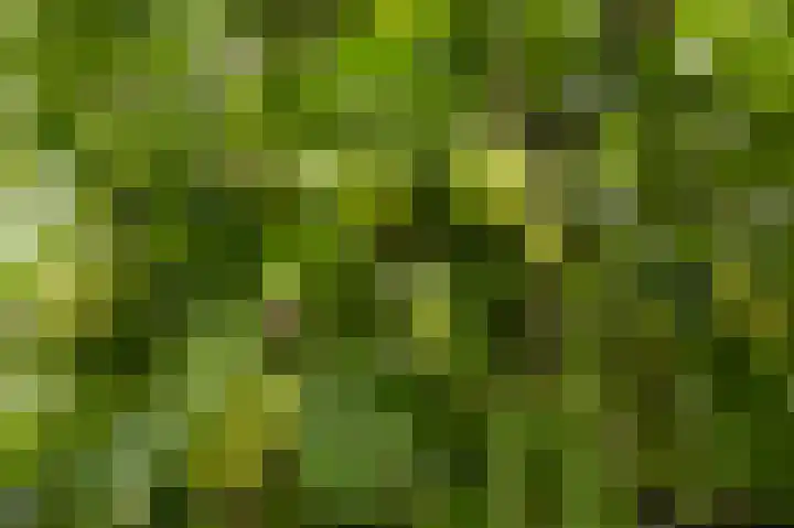 Jonkershof 3 Emmen thumbnail 45