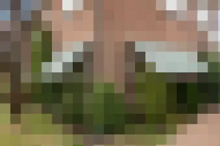 Jonkershof 3 Emmen thumbnail 47