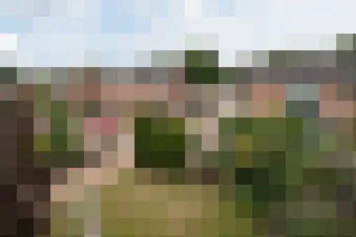 Jonkershof 3 Emmen thumbnail 49