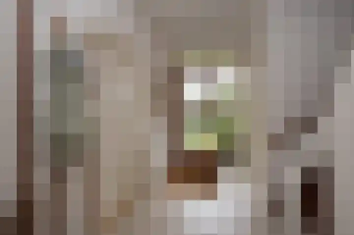 Jonkershof 3 Emmen thumbnail 5