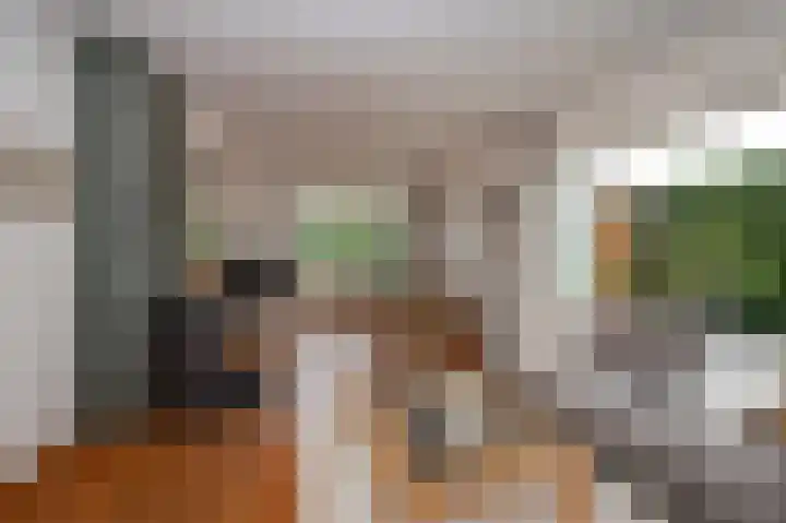 Jonkershof 3 Emmen thumbnail 7