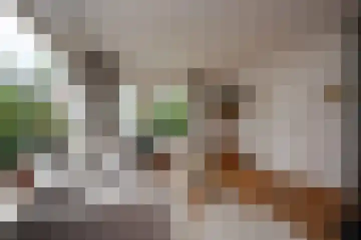 Jonkershof 3 Emmen thumbnail 8