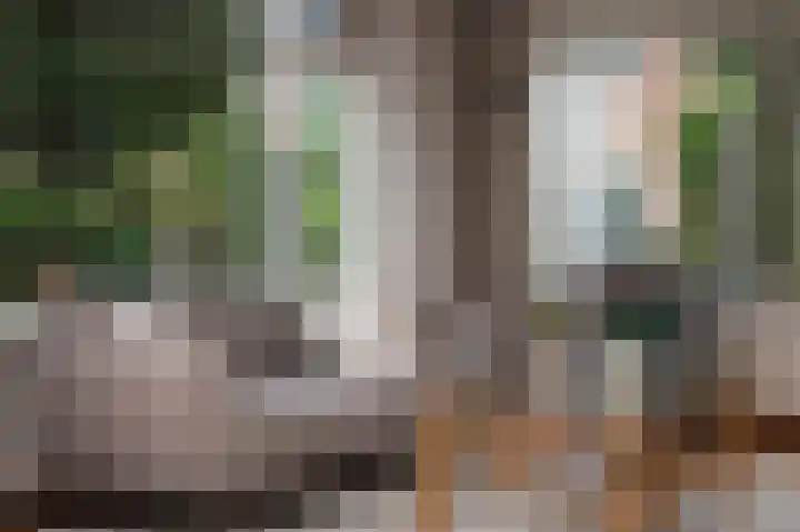 Jonkershof 3 Emmen thumbnail 9