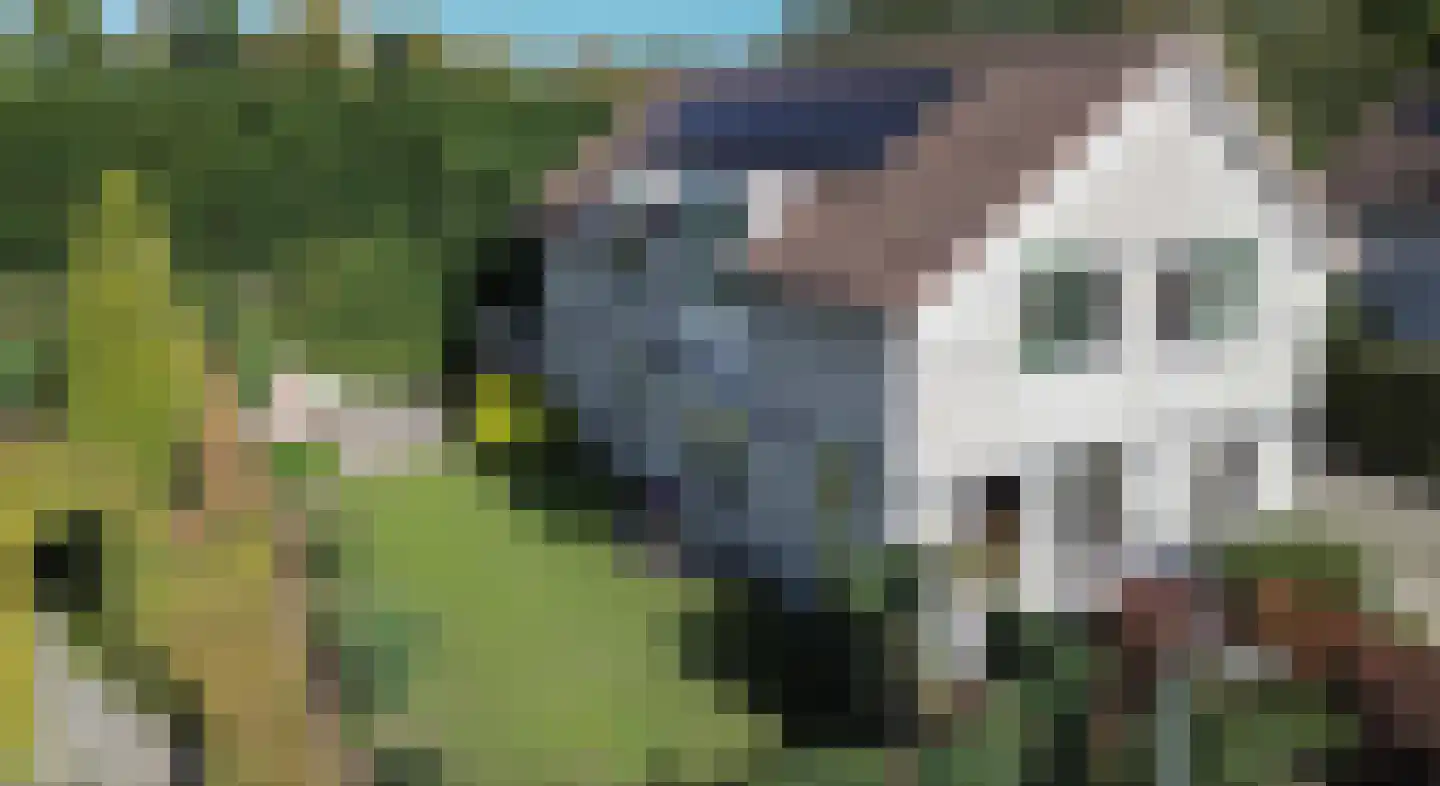 Jonkershof 36 Groesbeek thumbnail 6