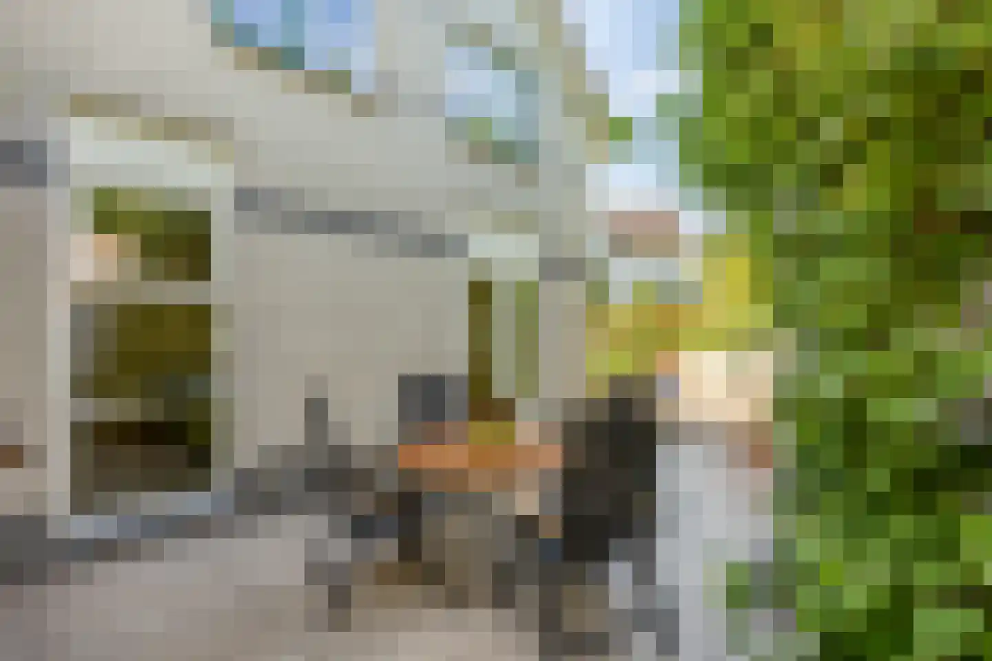 Jonkershof 36 Groesbeek thumbnail 60