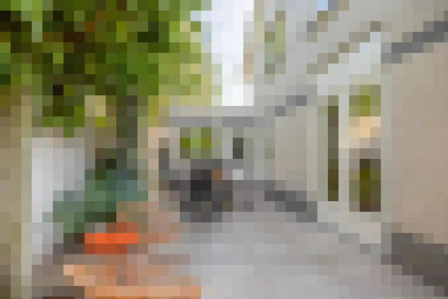 Jonkershof 36 Groesbeek thumbnail 62