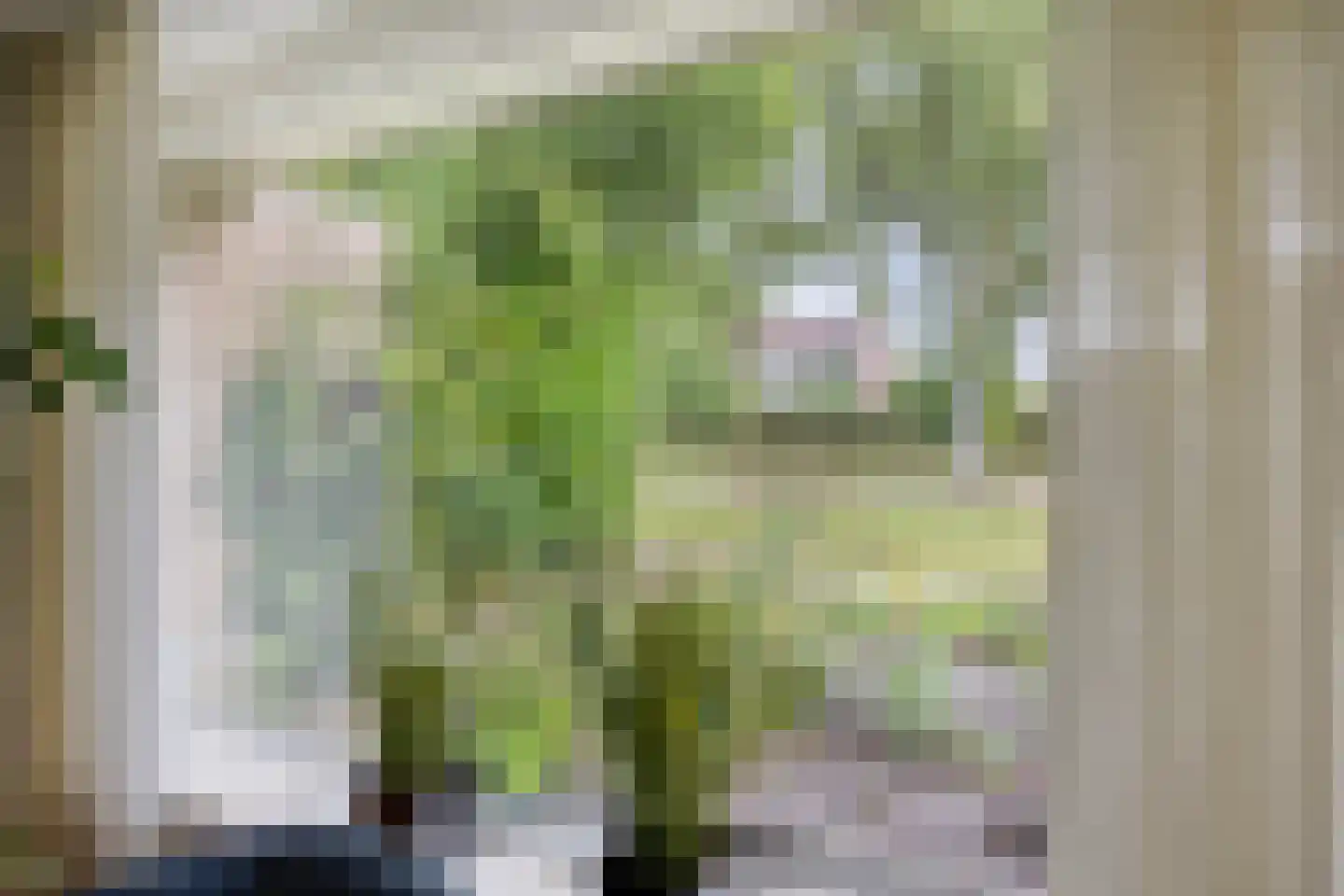 Jonkerslaan 124 Leek thumbnail 11