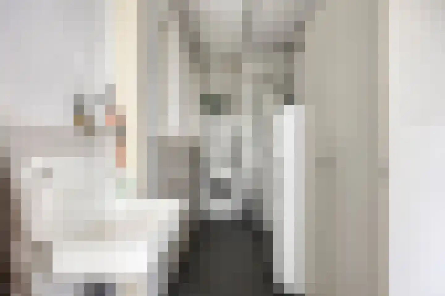 Jonkerslaan 124 Leek thumbnail 16