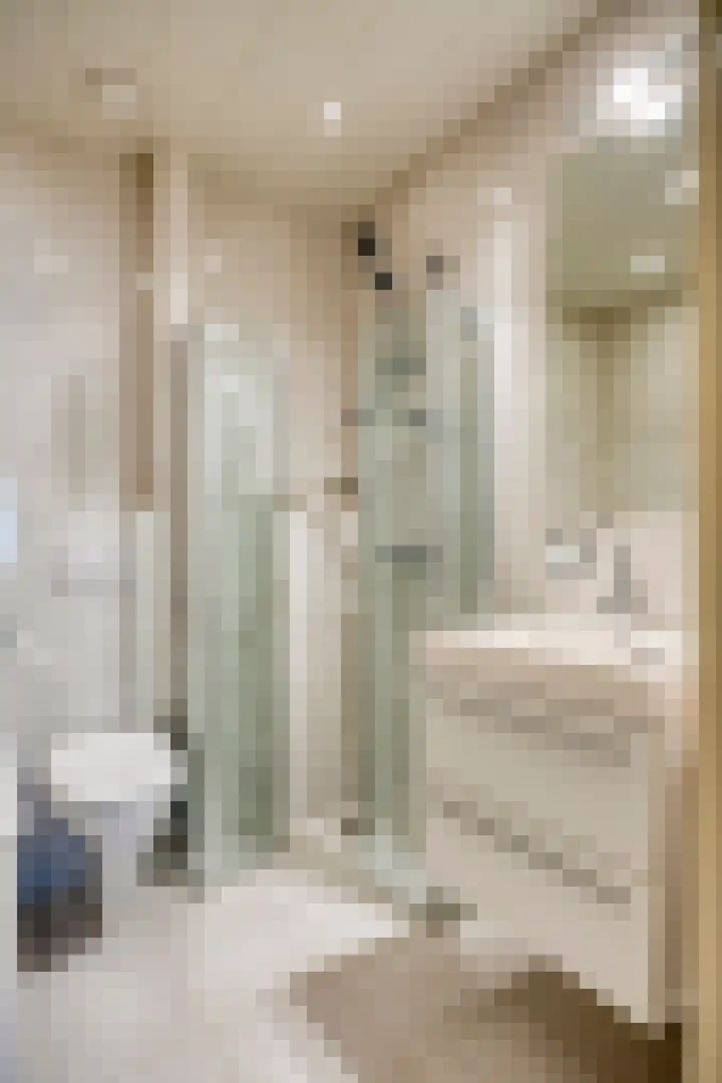 Jonkerslaan 124 Leek thumbnail 24